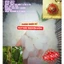 GIÁ SỈ THÙNG XỐP 5 KG HẠT ĐÁC NON MỀM-ĐỌC KỸ MÔ TẢ SẢN PHẨM