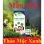 Combo Tinh dầu răng miệng 5ml/10/20ml dạ thảo liên & thảo mộc xanh x4