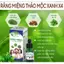 Combo Tinh dầu răng miệng 5ml/10/20ml dạ thảo liên & thảo mộc xanh x4