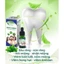 Combo Tinh dầu răng miệng 5ml/10/20ml dạ thảo liên & thảo mộc xanh x4
