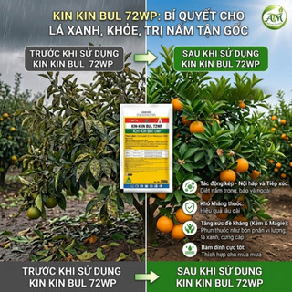 Thuốc bệnh Kin Kin Bul 72WP 500g trị nấm, thán thư, xanh cây, loét mặt sẹo 500g