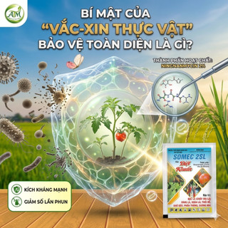 Combo tiết kiệm 5, 10 chai Somec 2SL 450ml siêu diệt khuẩn, kích thích sức đề kháng mạnh, bảo vệ cây toàn diện 450ml