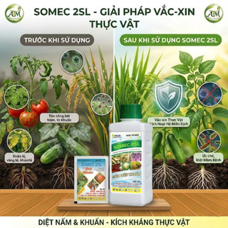 Combo tiết kiệm 5, 10 chai Somec 2SL 450ml siêu diệt khuẩn, kích thích sức đề kháng mạnh, bảo vệ cây toàn diện 450ml