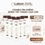 Combo 5 gói bông tẩy trang vuông Labon sạch sâu sạch sâu, mềm mịn Cotton Pad 150 miếng/gói