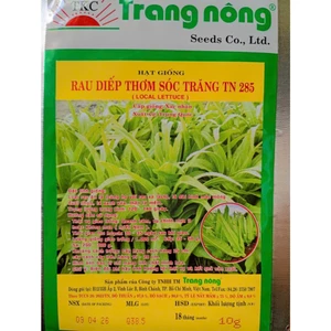 Hạt Giống Rau Diếp Thơm Sóc Trăng gói 10gr, Rau Ăn Lá Trang Nông, Hạt Nảy Mầm Nhanh, Mạnh