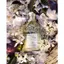 Nước Hoa Aqua Allegoria Perle Nerolia Vetiver Eau de Toilette | Chuẩn Authentic