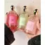 Nước Hoa Aqua Allegoria Perle Nerolia Vetiver Eau de Toilette | Chuẩn Authentic
