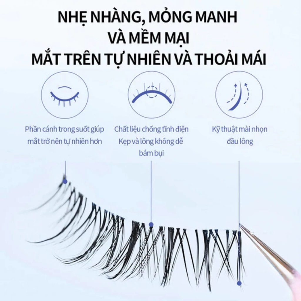 Mi Cụm Mlen Dairy hộp 5 cặp mi gân trong suốt