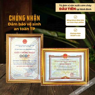 Cơm cháy gạo lứt siêu ruốc 200g một đặc sản thơm ngon giòn rụm của Đại Long
