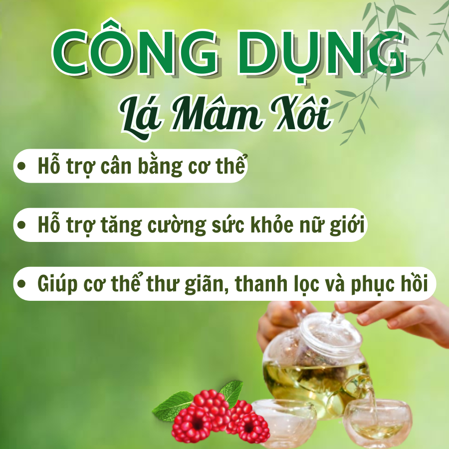 Trà Túi Lọc Mâm Xôi Đức Thiện (Liệu Trình 14 ngày) – Hỗ Trợ Thả Tự Nhiên, Làm Mát, Tốt Cho Phụ Nữ