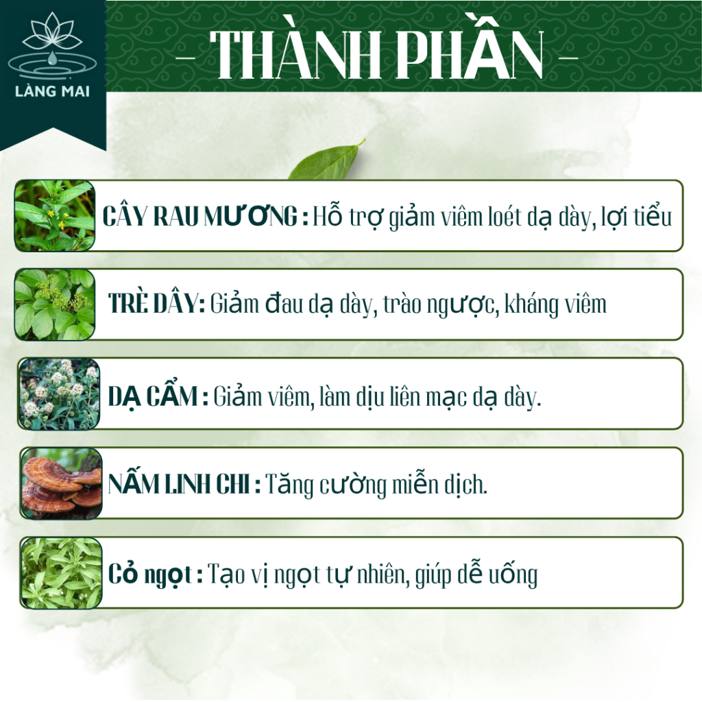 Trà Cây Rau Mương - Làng Mai - Hỗ Trợ Giảm Trào Ngược, Đau Dạ Dày,Tức Thượng vị,Đầy Bụng,Đầy hơi, Ợ Hơi.
