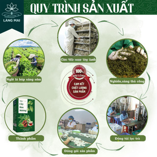 Trà Cây Rau Mương - Làng Mai - 5 Vị Thảo Mộc giúp giảm cảm giác ợ hơi, đầy trướng, hỗ trợ tiêu hóa dễ chịu.