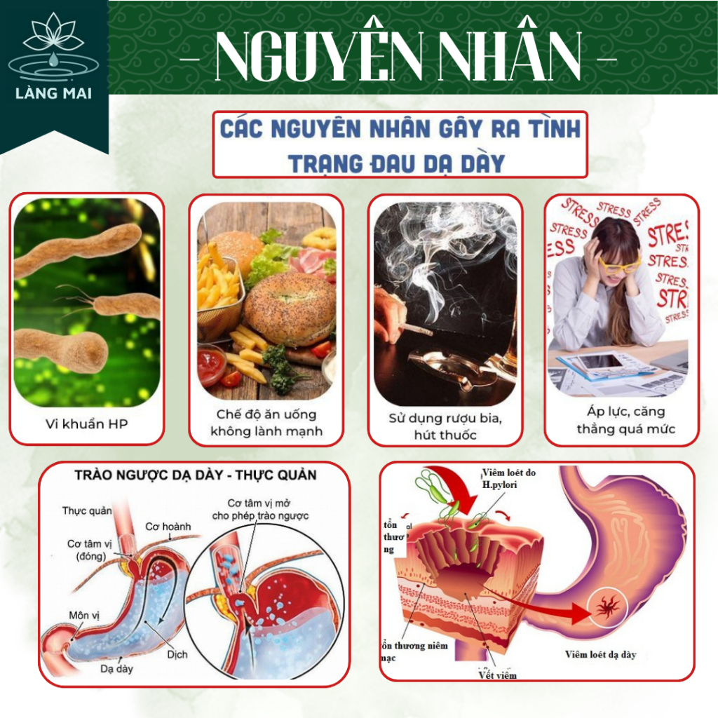 Trà Cây Rau Mương - Làng Mai - Hỗ Trợ Giảm Trào Ngược, Đau Dạ Dày,Tức Thượng vị,Đầy Bụng,Đầy hơi, Ợ Hơi.