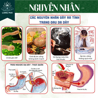 Trà Cây Rau Mương - Làng Mai - 5 Vị Thảo Mộc giúp giảm cảm giác ợ hơi, đầy trướng, hỗ trợ tiêu hóa dễ chịu.