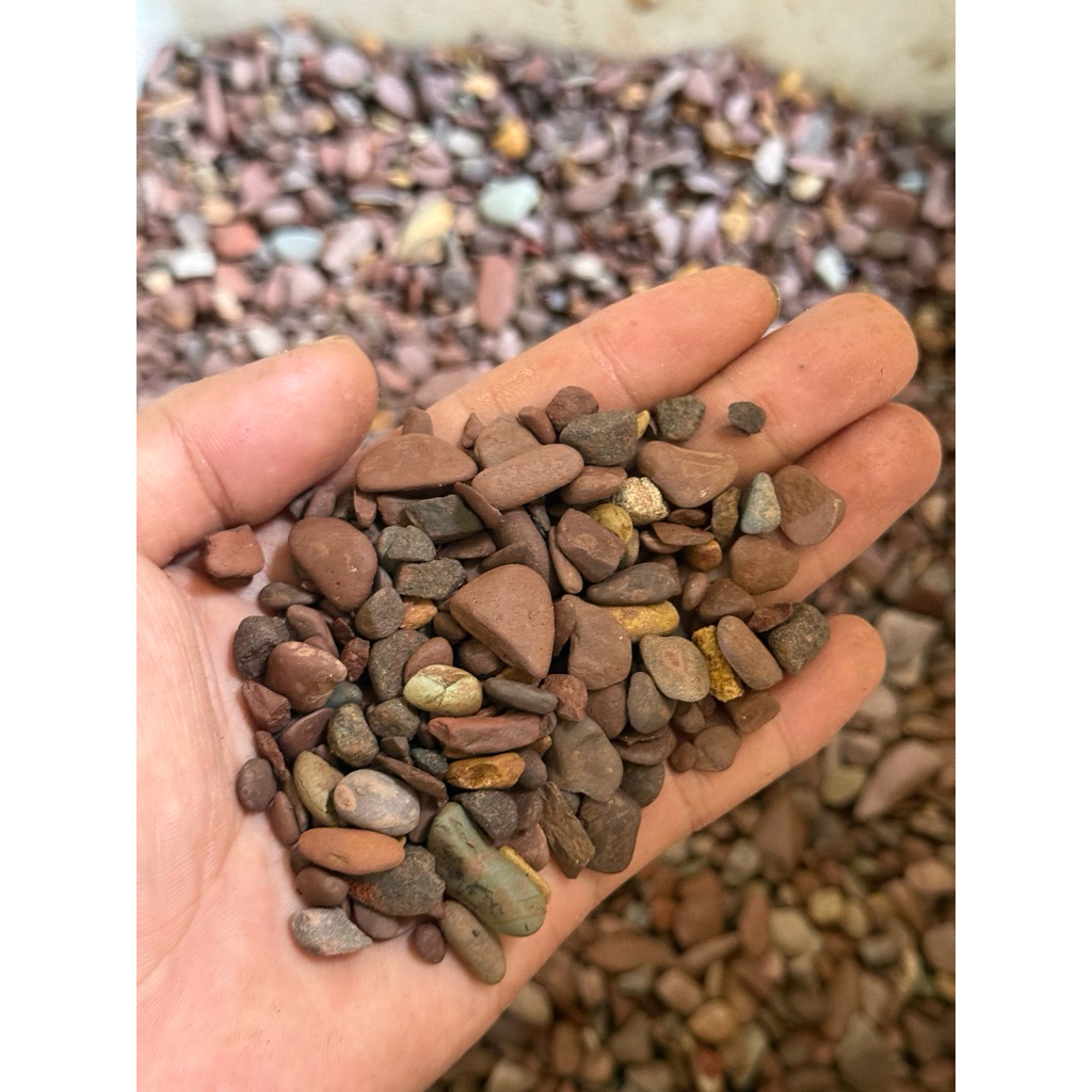 ( ... Sạn Suối Màu Trải Nền, Trang Trí Hồ Cá, Bể Thuỷ Sinh, Setup Layout Biotope thuysinhnau SPK07 . )