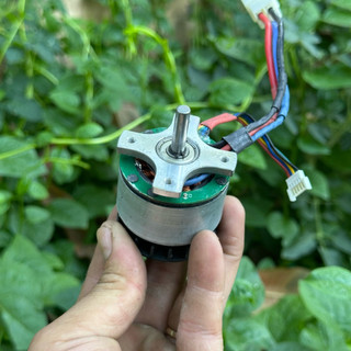 Động Cơ 3 Pha BLDC 12V-36V Siêu Khỏe - Chuyên Chế Máy Cắt Cỏ, Máy Mài