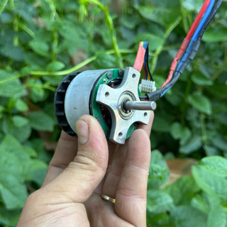 Động Cơ 3 Pha BLDC 12V-36V Siêu Khỏe - Chuyên Chế Máy Cắt Cỏ, Máy Mài