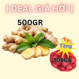 [Mua 500g Gừng Tặng 500g Hành Ấn Độ] Gừng Sẻ - 500g - 1kg - 2kg - Gừng Khô Thơm Cay - Gia Vị Cho Mọi Món Ăn