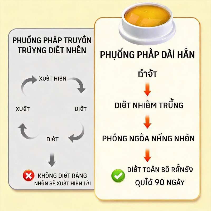 Công nghệ mới Nhật Bản Mồi diệt nhện diệt nhện, ngăn ngừa nhện giăng tơ hiệu quả Tiêu diệt mọi loại côn trùng-COD