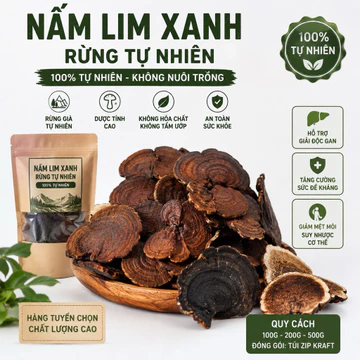 NẤM LIM XANH RỪNG TỰ NHIÊN 100% 0.5-1kg. Hỗ Trợ Giải Độc Gan, Tăng Đề Kháng – Hàng Tuyển Chọn