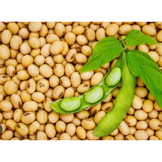 ĐẠM ĐẬU NÀNH - ISOLATED SOY PROTEIN