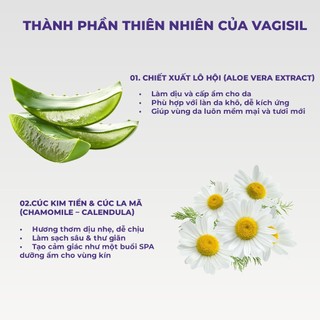 [Chính Hãng]Gel Vệ Sinh Phụ Nữ Vagisil Hương Nước Hoa, Cân Bằng pH, Kiểm Soát Mùi Nhạy Cảm 240ml ...