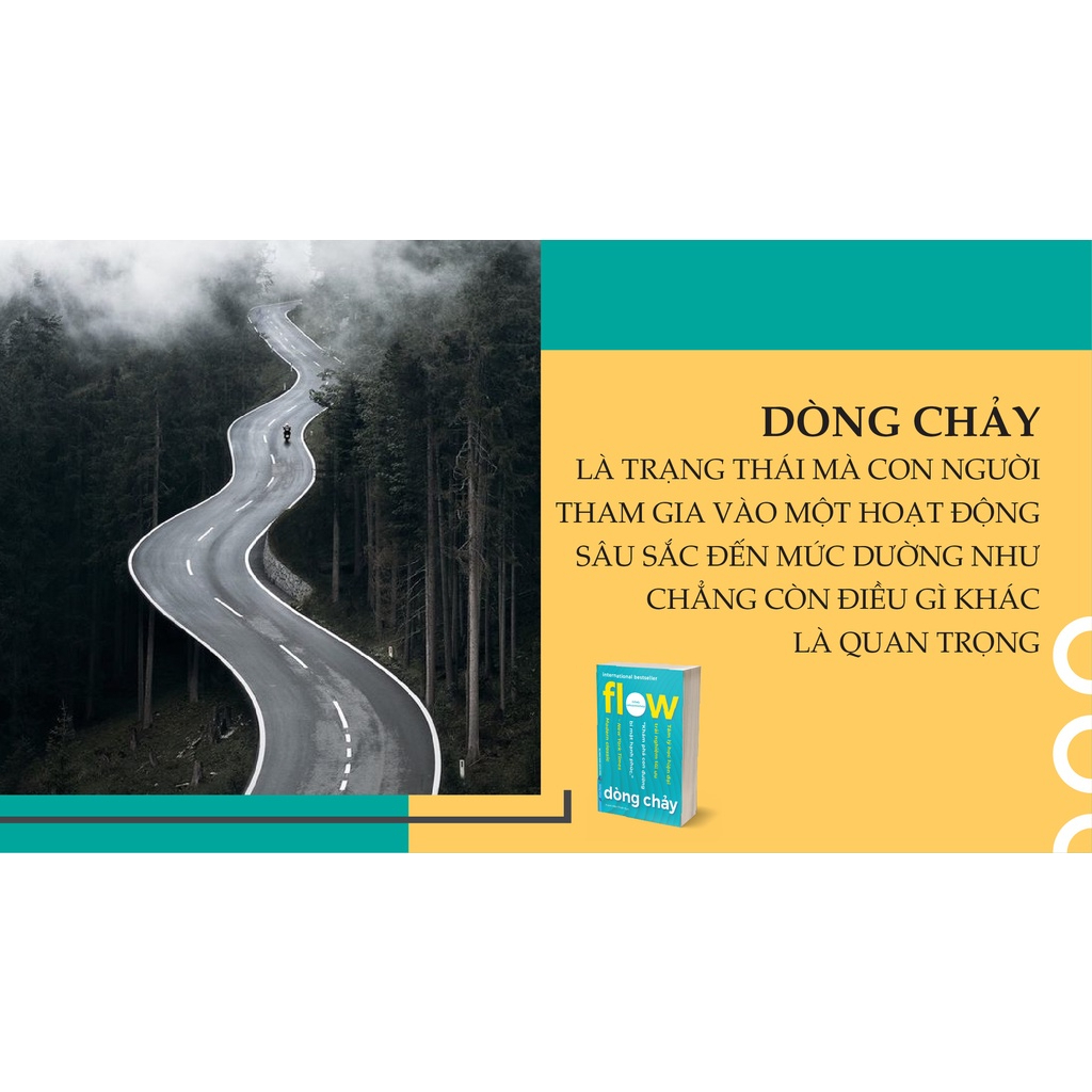 Sách - Flow - Dòng Chảy - Mihaly Csikszentmihalyi