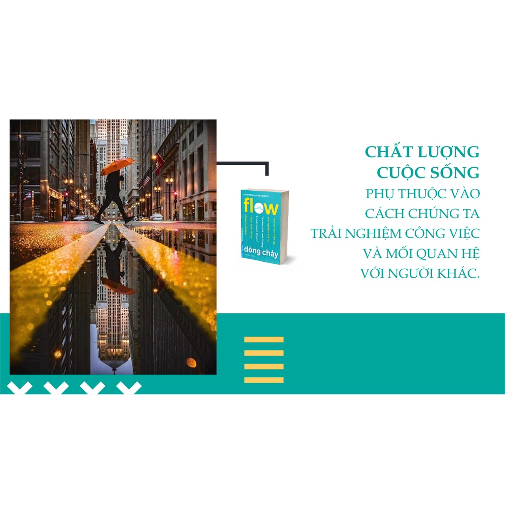 Sách - Flow - Dòng Chảy - Mihaly Csikszentmihalyi