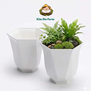 Chậu cây linh lan 3 size – Chậu trồng cây nhựa bền đẹp, form cao thoáng, thoát nước tốt
