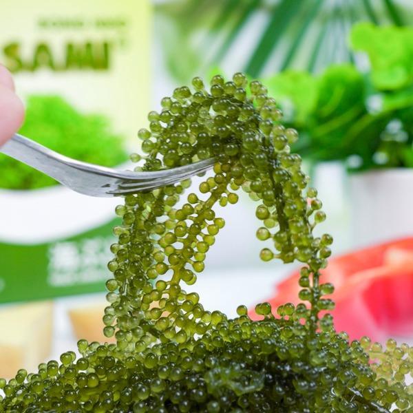 Rong Nho Tách Nước TASAMI - HỘP 100g – Rong Nho Ăn Liền, Giòn Ngon, Tốt Cho Sức Khỏe