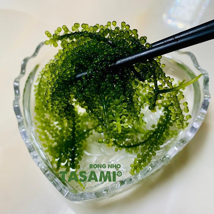 Rong Nho Tách Nước TASAMI - HỘP 100g – Rong Nho Ăn Liền, Giòn Ngon, Tốt Cho Sức Khỏe
