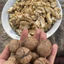 Combo 200g hạt óc chó ăn liền. Hạt óc chó tách vỏ, rang thơm béo bùi, hạt ăn vặt, mix salad, granola