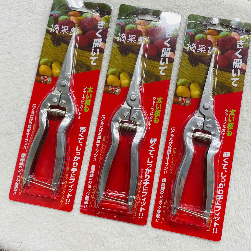 [COMBO 3 Chiếc] Kéo tỉa cành dăm thép trắng cho cây cảnh, cây bonsai - Kéo tỉa dăm tay đỏ