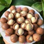 Combo 200g hạt macca ăn liền. Hạt macca nứt vỏ, hạt dinh dưỡng nấu sữa hạt, mix salad dinh dưỡng
