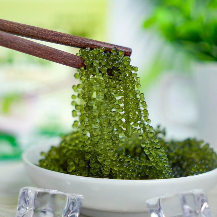 Rong Nho TASAMI- Kèm Xốt Mè Rang - HỘP 175g  – Rong Nho Tươi Nhật Bản, Giòn Ngon, Ăn Liền