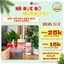 Bột Ngũ Cốc Mè Đen Đậu Đen Xanh Lòng Organic - Rang Xay Thủ Công (Hộp 500g)