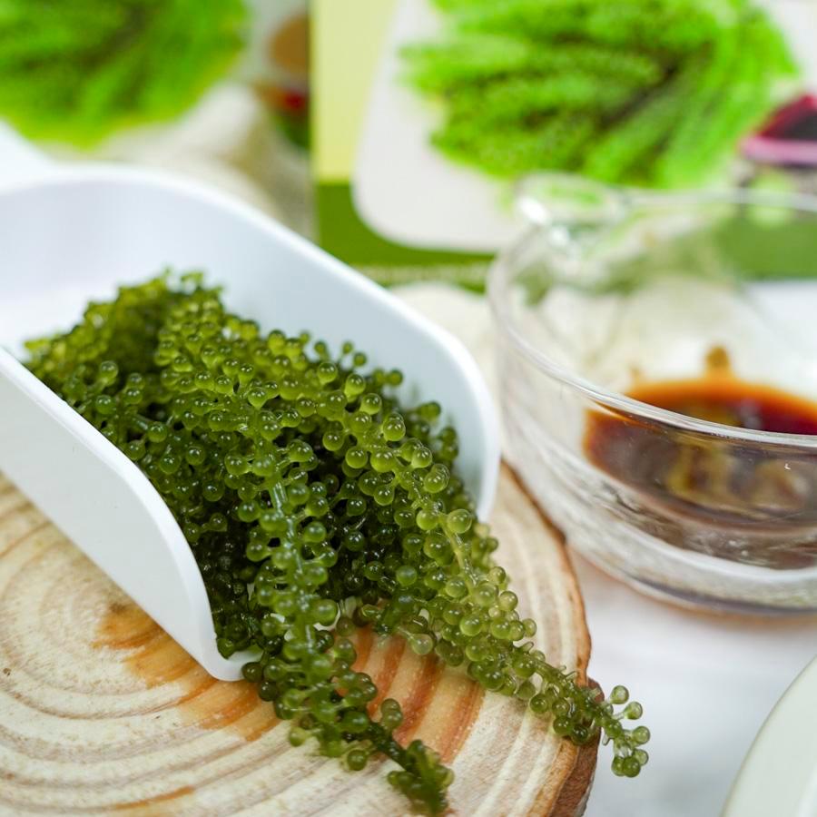 Rong Nho Tươi TASAMI Xốt Tương Wasabi - HỘP 137.5g – Ăn Liền Giòn Ngon Thanh Mát