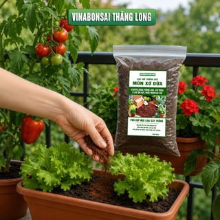 Mụn Xơ Dừa Vinabonsai, Bao 3.5 Lít , Đã Qua Xử Lý, Chuyên Trồng Rau, Hoa Màu, Cây Ăn Trái