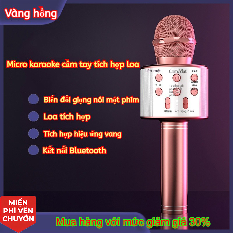 Micro Karaoke Gia Đình, Tích Hợp Loa, Chơi Nhạc, Ghi Âm, Phù Hợp Cho Người Lớn & Trẻ Em