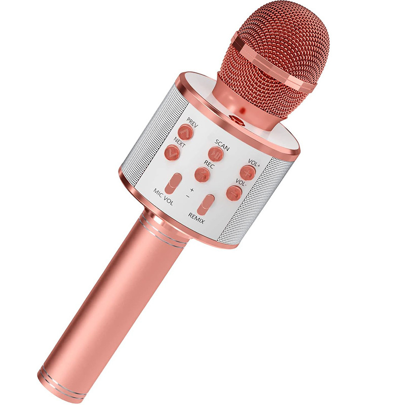 Micro Karaoke Gia Đình, Tích Hợp Loa, Chơi Nhạc, Ghi Âm, Phù Hợp Cho Người Lớn & Trẻ Em