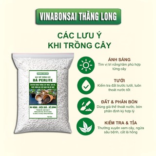 Đá Perlite Trân Châu - Túi 3.5 Lít (Túi 20x30cm) - Dùng Trồng hoặc Trộn Giá Thể, Thoát Nước Tốt, Tăng Độ Thoáng Cho Rễ