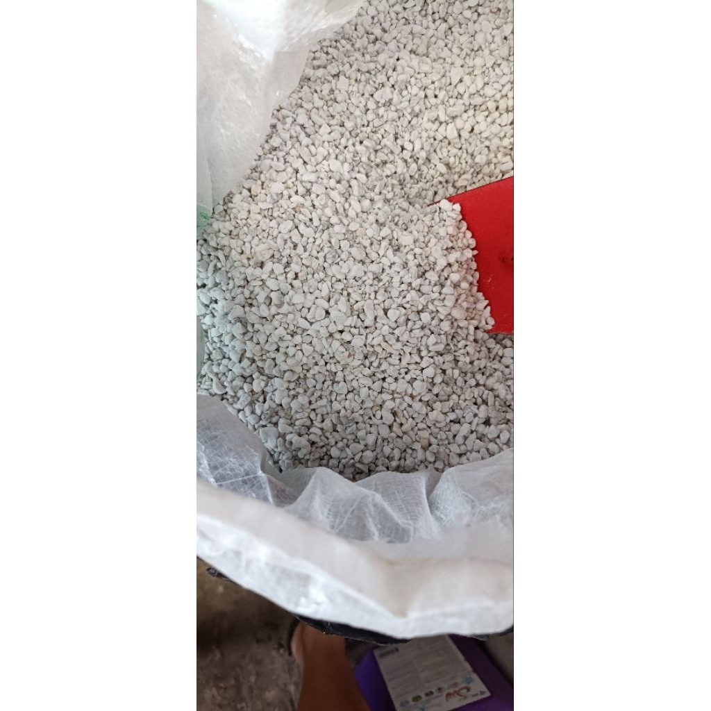 100g Đá Perlite ( dùng cho kiểng lá,sen đá,..)