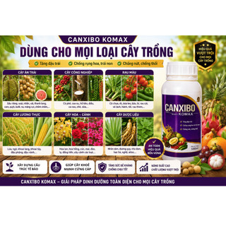CANXIBO-KOMAX - Kích Ra Hoa Đậu Quả - Chống Rụng Hoa, Chống Rụng Trái, Nứt Trái (Chính Hãng)