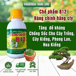 Chế phẩm B12 Tăng  đề kháng Chống Sốc Cho Cây Trồng, Cây Kiểng, Phong Lan, Hoa Kiểng (Lọ 100ML)