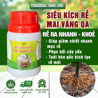 Siêu kích rễ mai vàng Q.A - siêu ra rễ, giâm chiết cành. Tăng tỉ lệ nảy mầm.