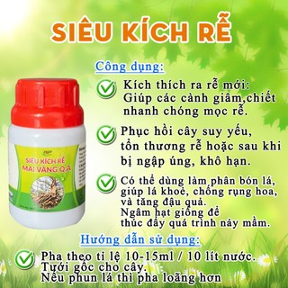 Siêu kích rễ mai vàng Q.A - siêu ra rễ, giâm chiết cành. Tăng tỉ lệ nảy mầm.
