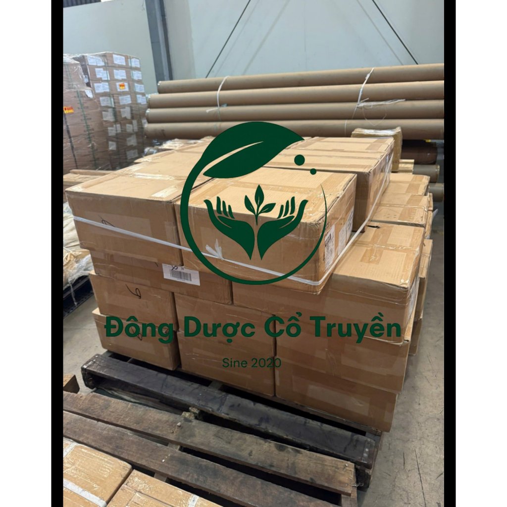 Kim châm cứu QUAN HÀ - Hộp 500 kim - Đóng túi - Siêu rẻ - Siêu bén - Đủ kích thước