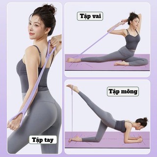 Dây Kháng Lực Số 8, Tập Tay, Lưng, Xô, Vai, Chất Liệu Cao Su Cao Cấp, Chính Hãng Prowinfitness.
