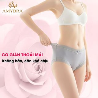 Quần lót nữ đúc su viền ren, Quần chip nữ mỏng nhẹ cạp vừa, đáy may kháng khuẩn AMYBRA L369