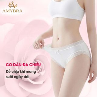 Combo 3 Quần Lót Nữ Viền Ren Hoa Gợi Cảm, Set 3 Quần Chip Nữ Đáy May 2 Lớp Kháng Khuẩn AMYBRA L519